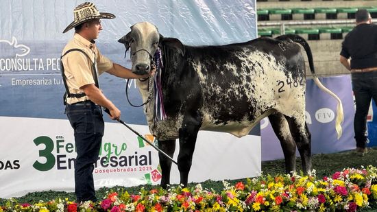 La tercera Feria Agroempresarial mostró a Dosquebradas como potencia de agro, tradición y eventos de talla nacional
